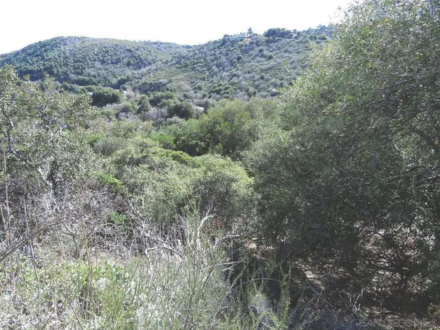 a view of a mountain in the distance in a field