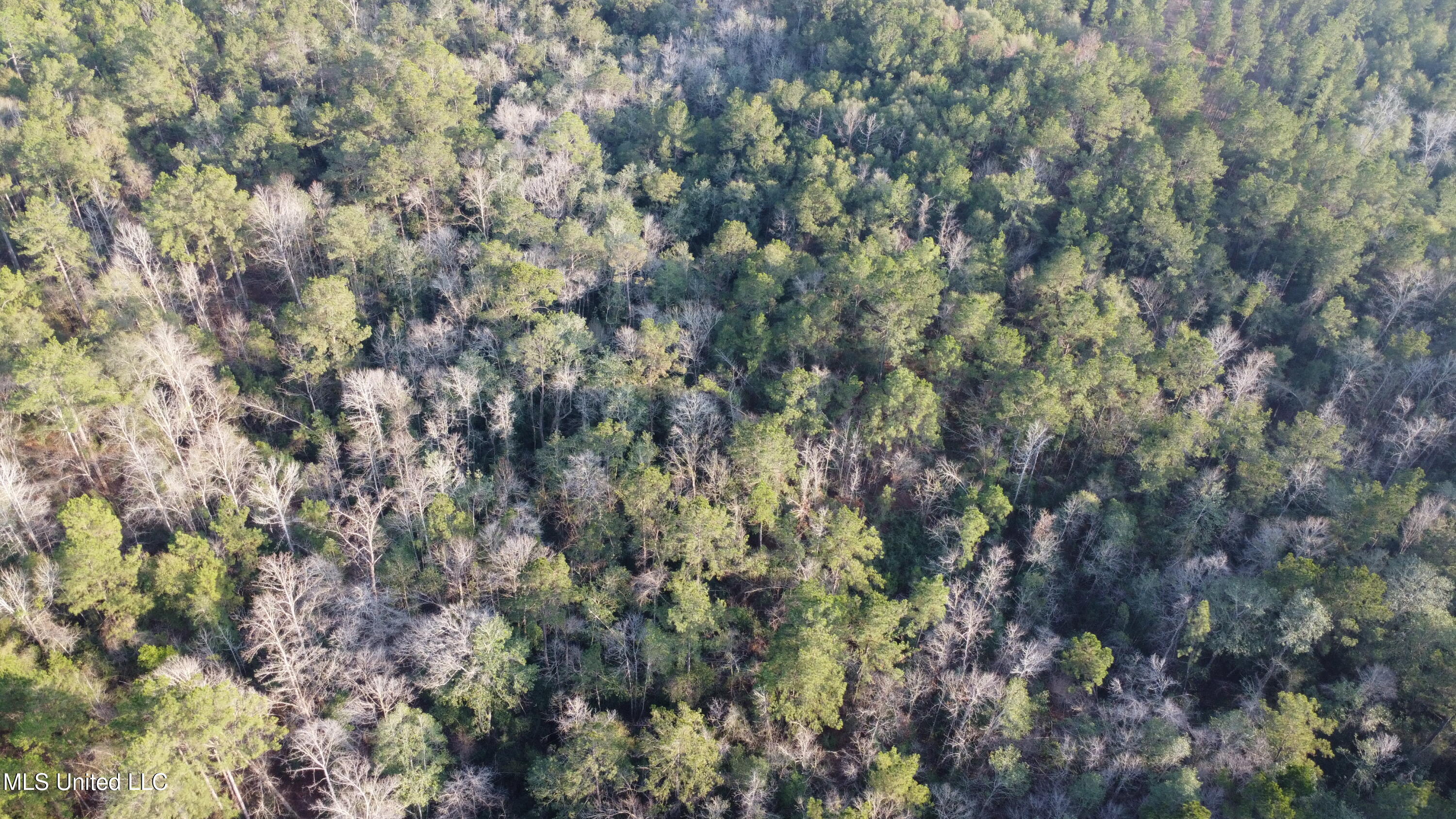 South County Line Road Columbia, MS 39429 - Photo 9 of 44 DJI_0691