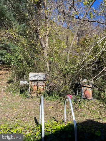 a view of a wooden house with a yard and large tree