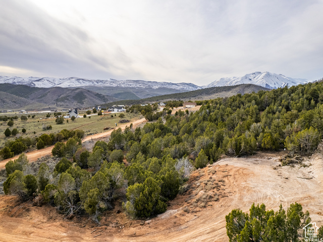 5458 Cougar Run Fairview, UT 84629 - Photo 14 of 21 View of mountain background