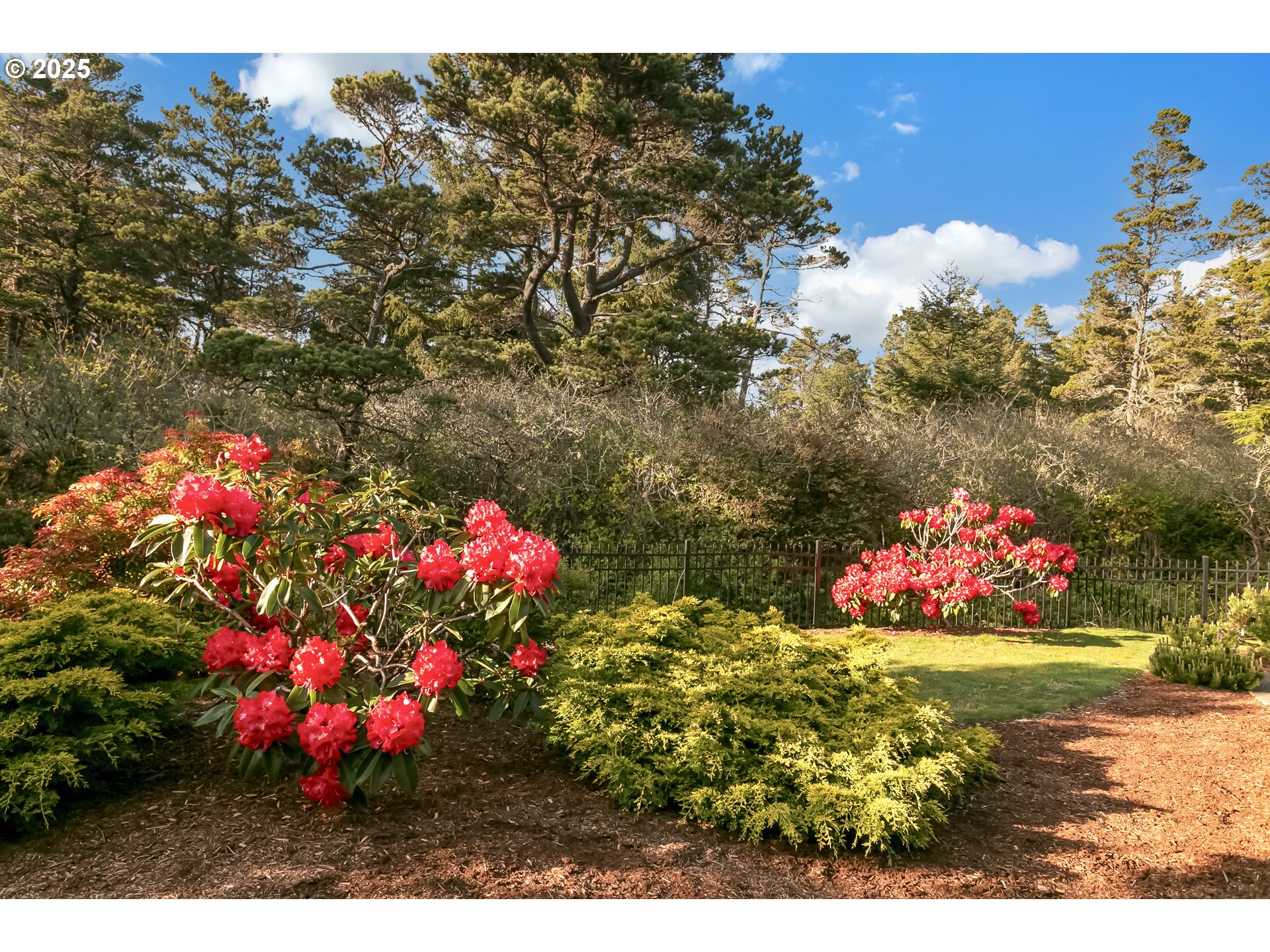 160 Southwest 59th Street South Beach, OR 97366 - Photo 33 of 45 a view of a flower in a garden