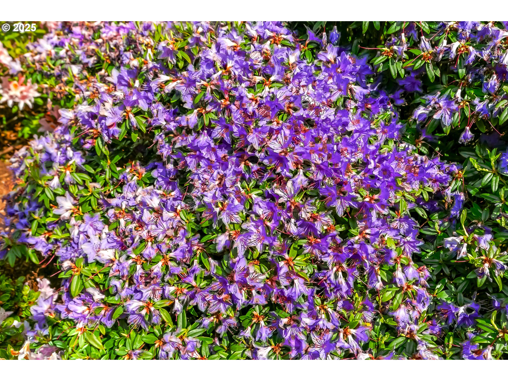 160 Southwest 59th Street South Beach, OR 97366 - Photo 34 of 45