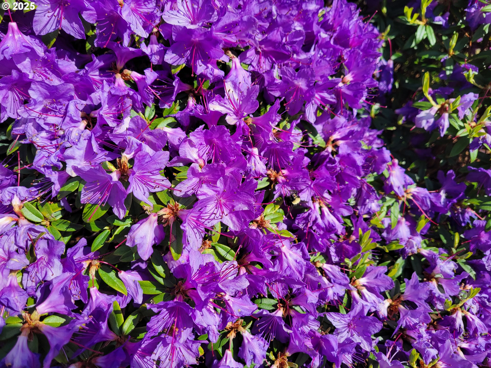 160 Southwest 59th Street South Beach, OR 97366 - Photo 36 of 45