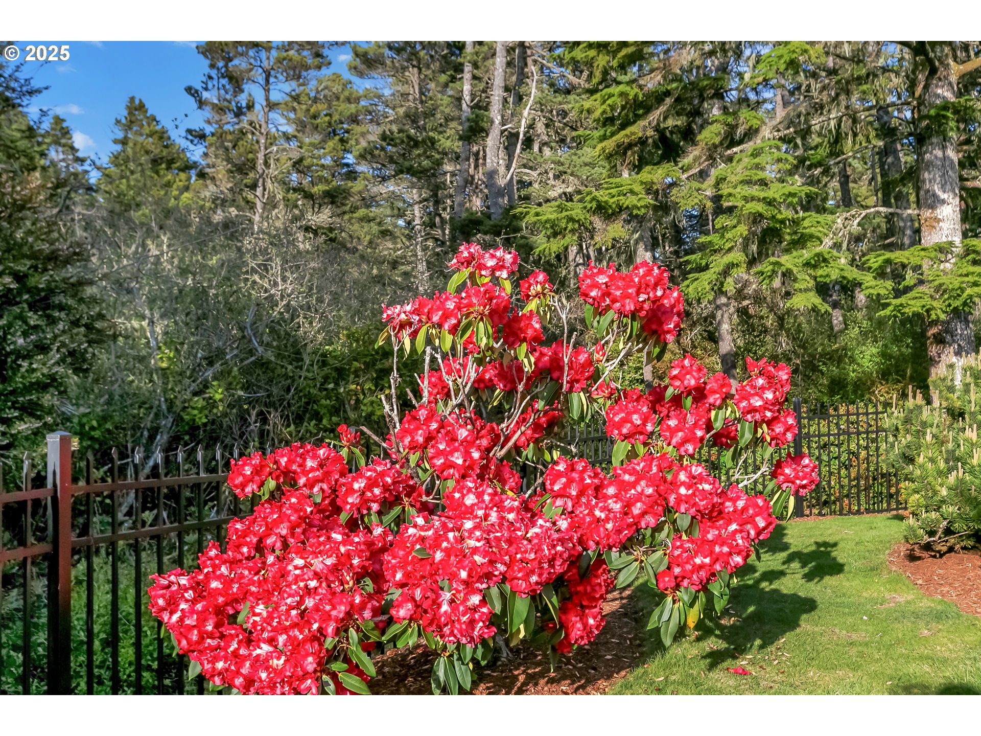 160 Southwest 59th Street South Beach, OR 97366 - Photo 37 of 45 a view of a flower in a garden
