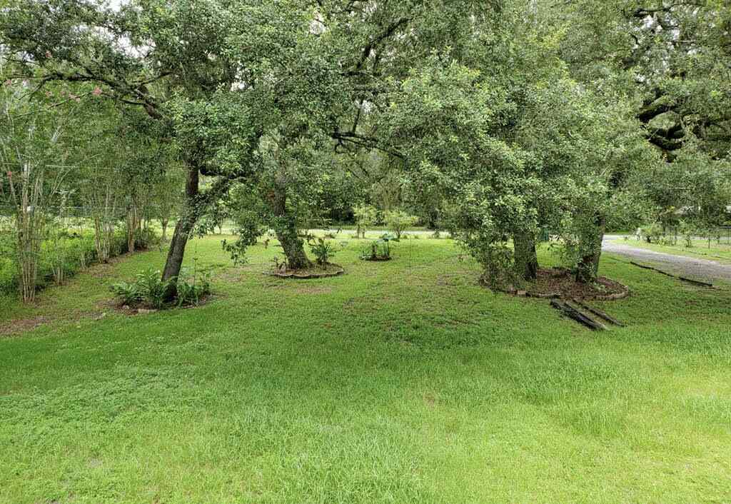4773 Crooked Road Tallahassee, FL 32310 - Photo 4 of 16 Gallery Image 4