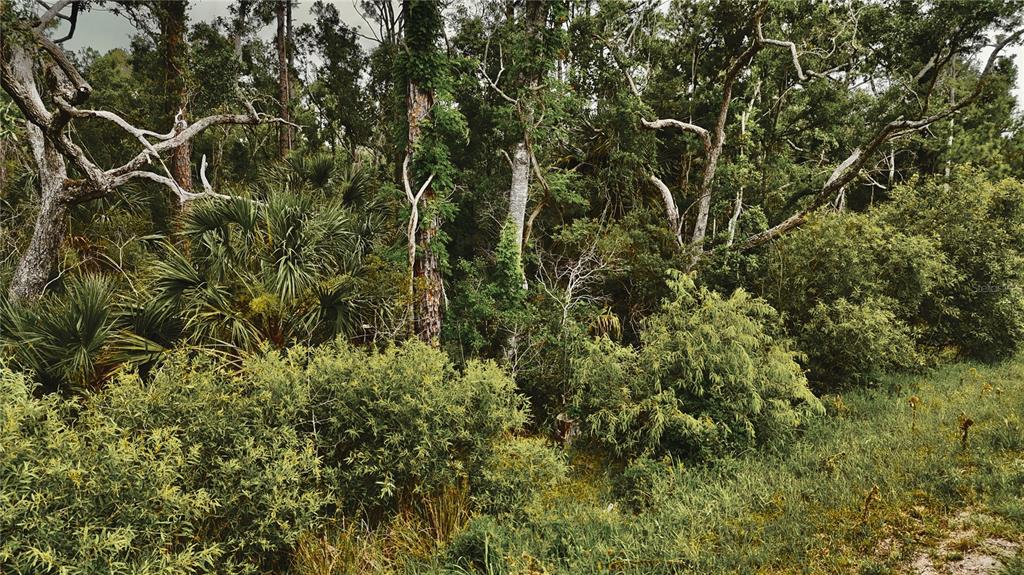 10-11 Adams Beach Road Perry, FL 32348 - Photo 3 of 38