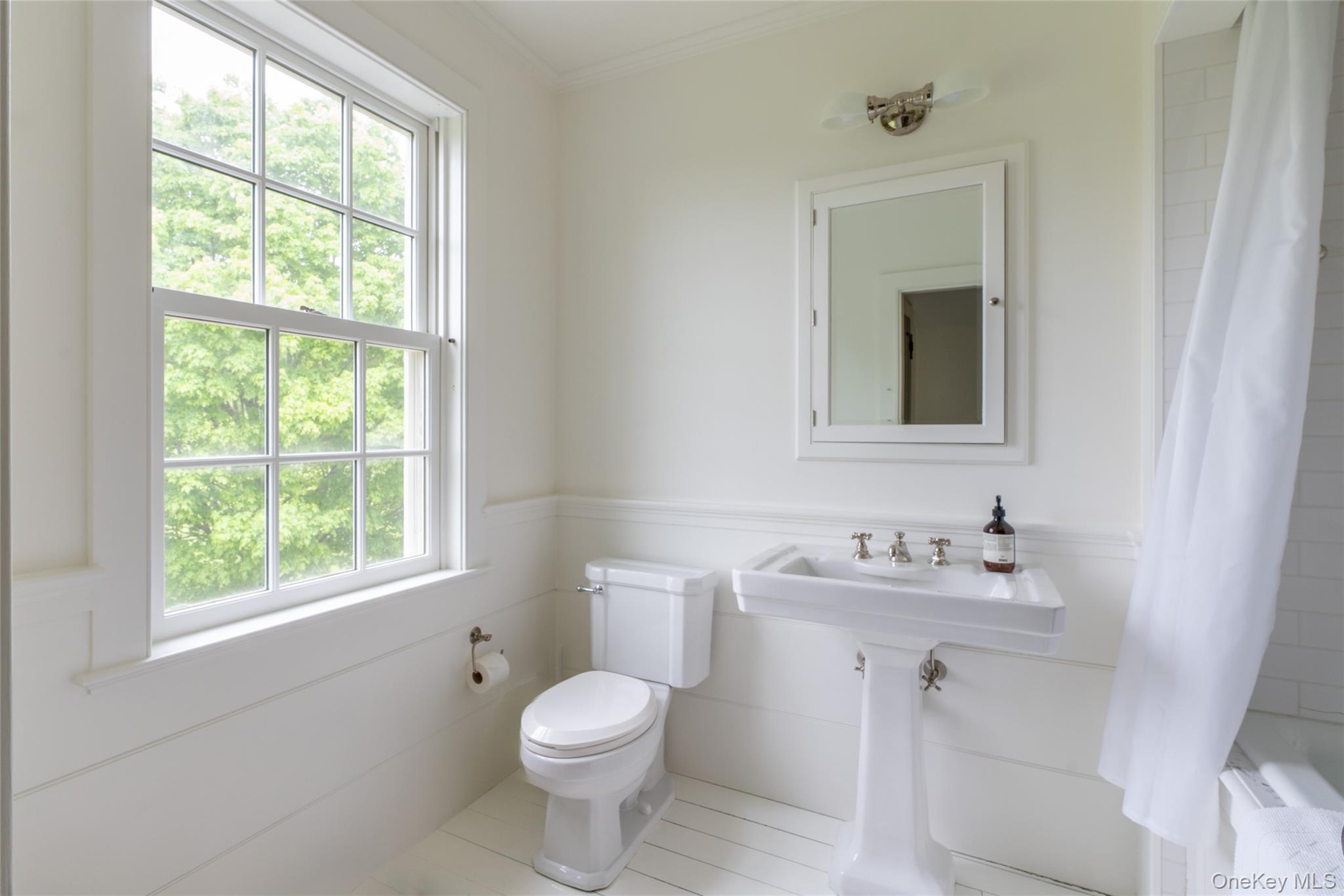 1190 Chestnut Ridge Road Dover Plains, NY 12522 - Photo 29 of 42 Full bathroom with ornamental molding, shower / bathtub combination with curtain, and a wainscoted wall
