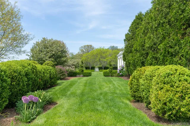 a view of a garden with plants and large trees