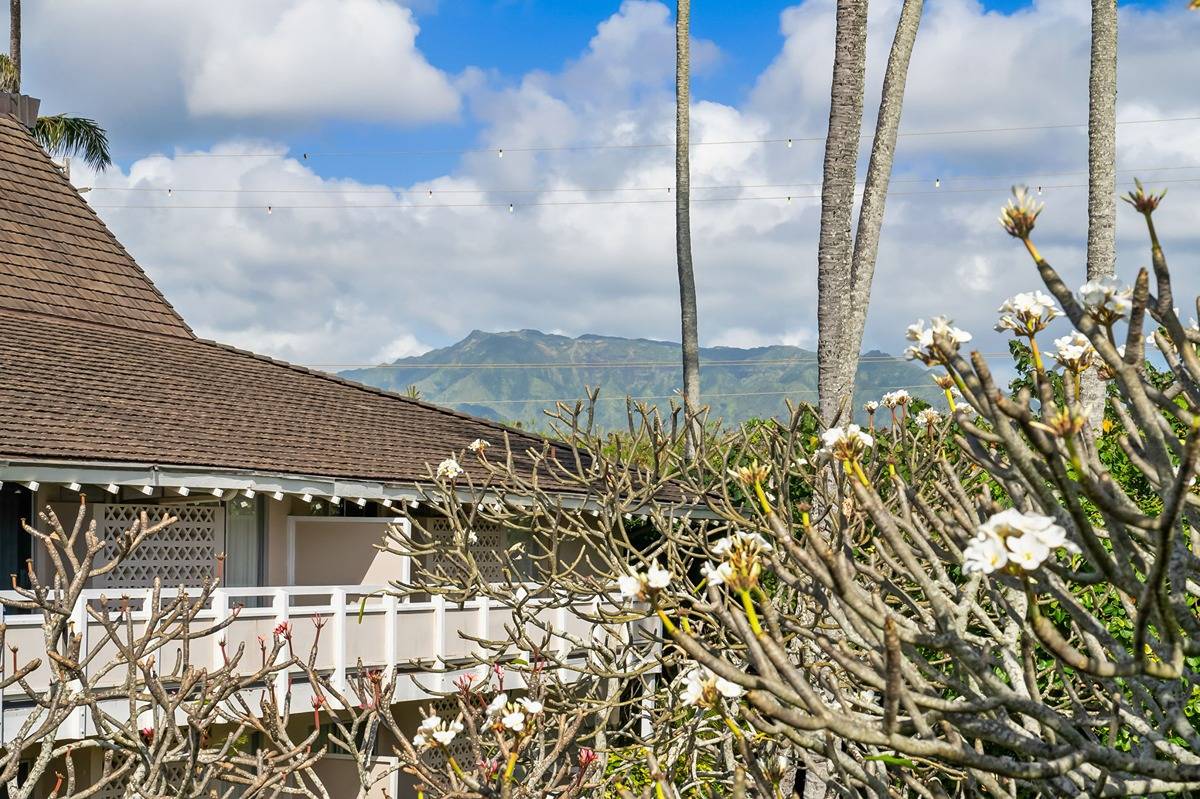 525 Aleka Loop, Unit F9 Kapaa, HI 96746 - Photo 19 of 26