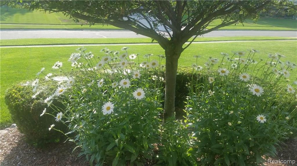 70658 Hillside Court Romeo, MI 48065 - Photo 17 of 28