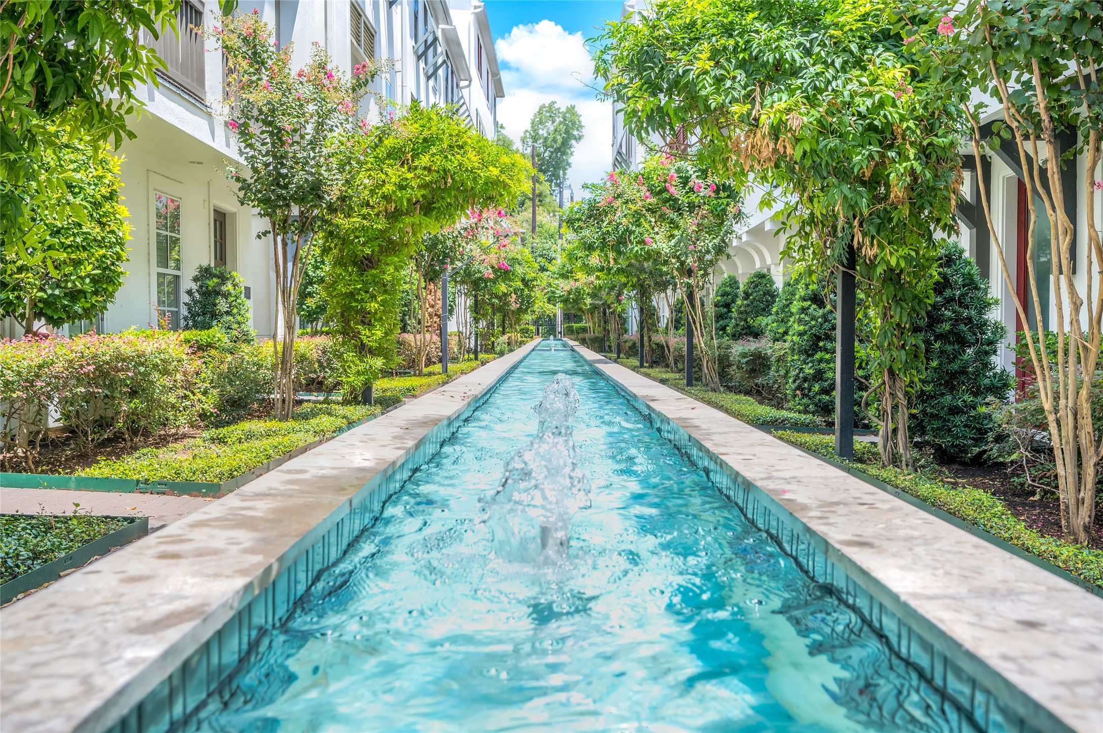 266 East 28th Street Houston, TX 77008 - Photo 29 of 33 a view of a backyard with plants