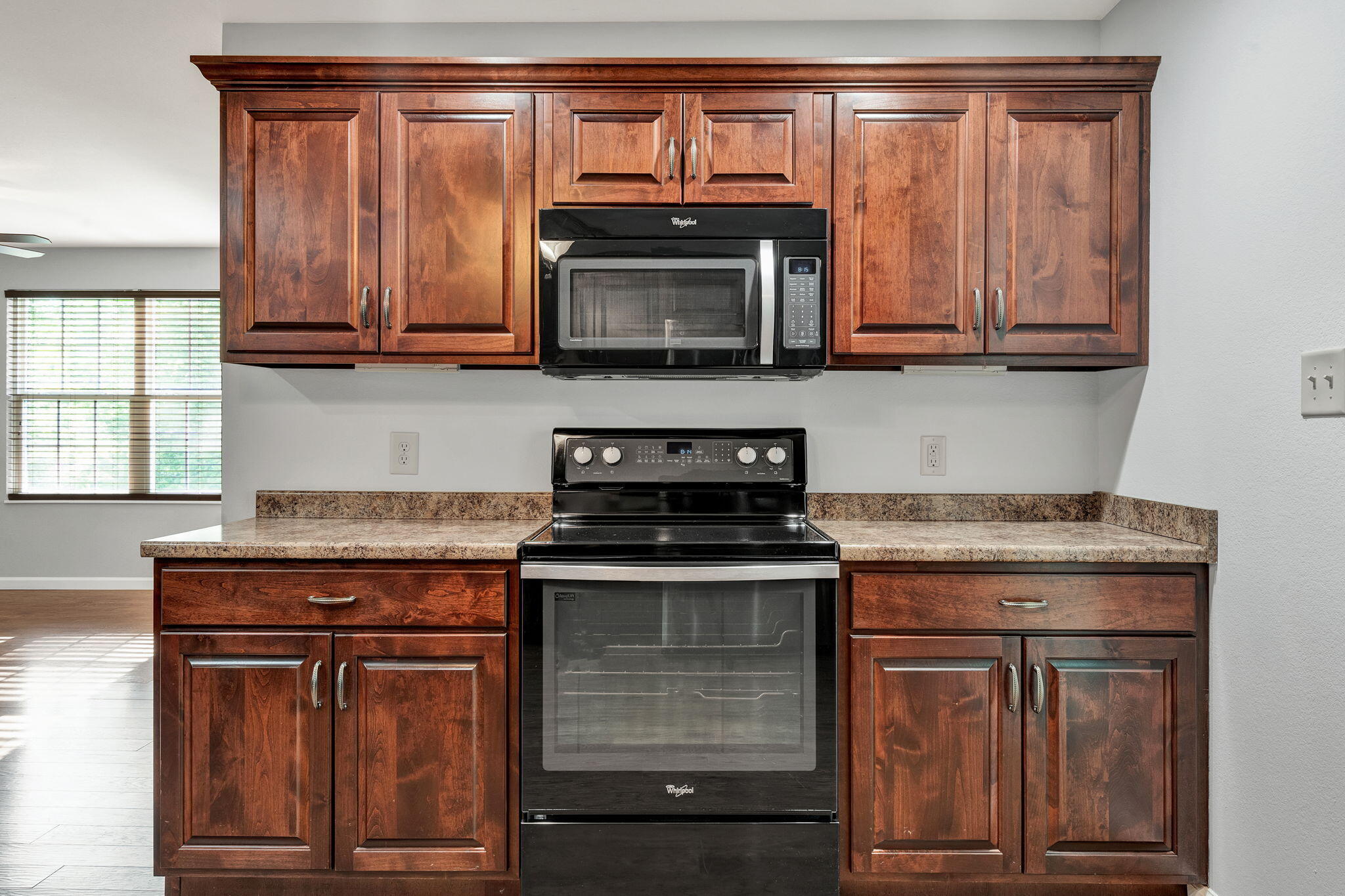 225 Laurel Drive Spring City, TN 37381 - Photo 8 of 42 23-web-or-mls-DSC06752