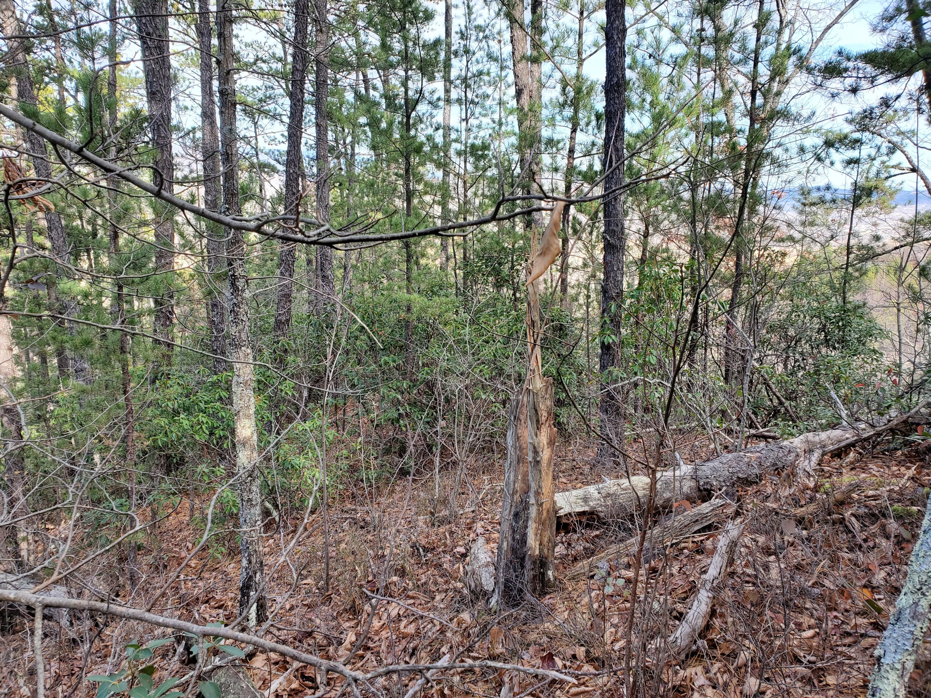 Lot 3-4 High Ridge Way Sevierville, TN 37862 - Photo 11 of 11 20201223_114942