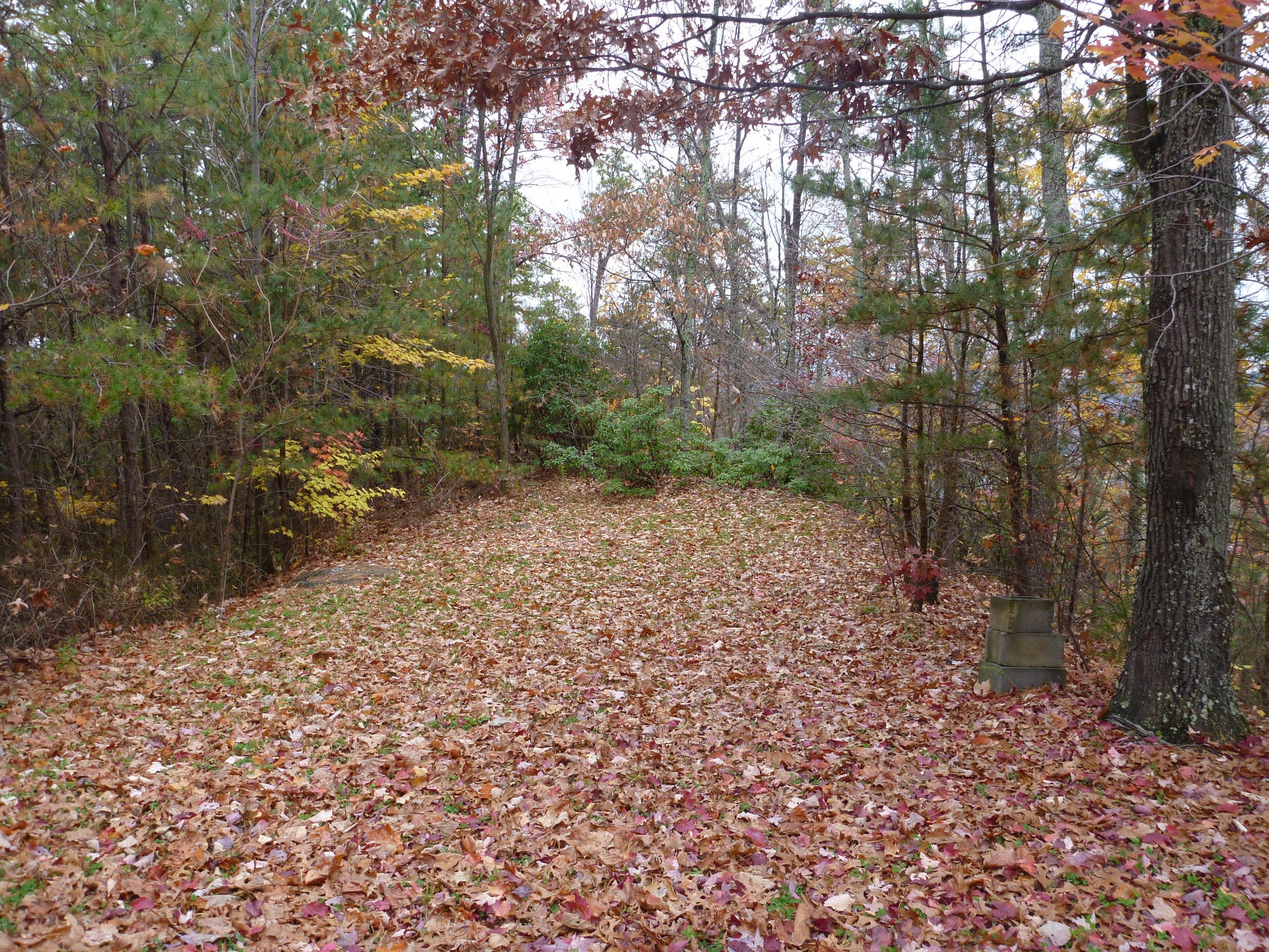 Lot 3-4 High Ridge Way Sevierville, TN 37862 - Photo 4 of 11 Driveway to Building Site