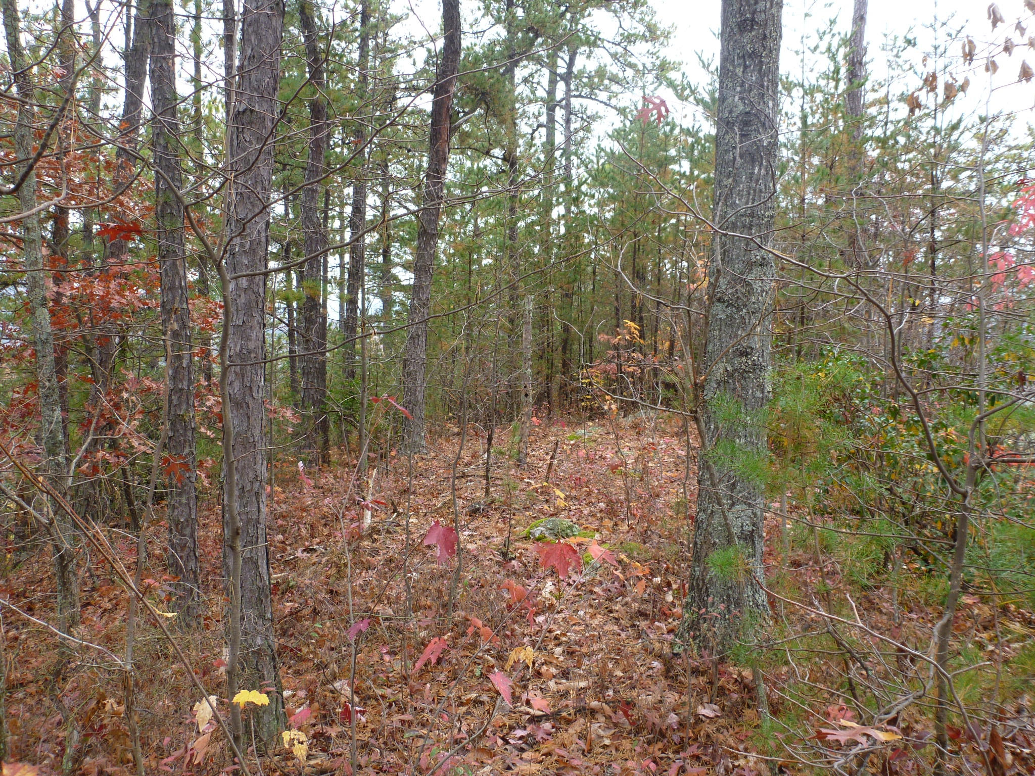 Lot 3-4 High Ridge Way Sevierville, TN 37862 - Photo 5 of 11 High Ridge Way 051
