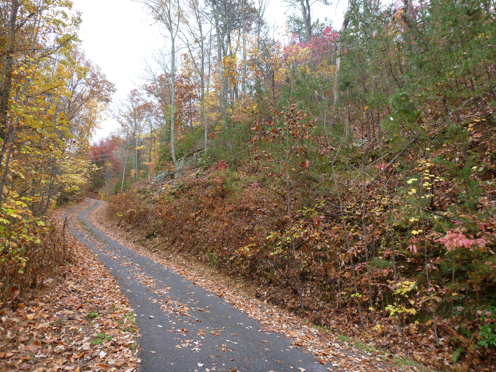 Lot 3-4 High Ridge Way Sevierville, TN 37862 - Photo 8 of 11 High Ridge Way 059