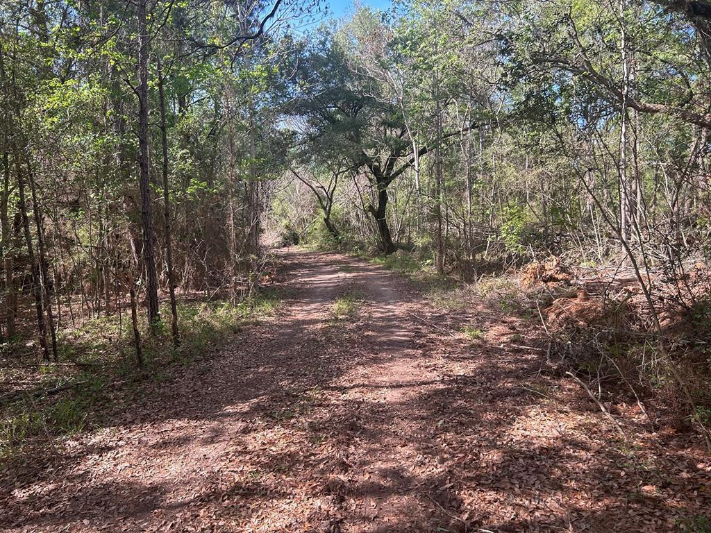0 North Ranch Road Foxworth, MS 39483 - Photo 1 of 38 Main View