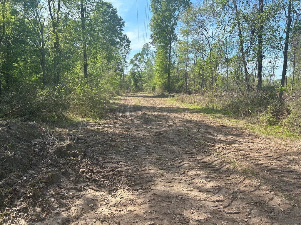 0 North Ranch Road Foxworth, MS 39483 - Photo 13 of 38 Photo 13