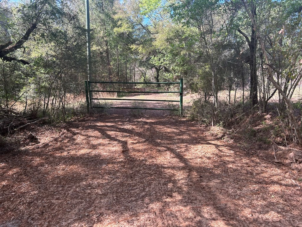 0 North Ranch Road Foxworth, MS 39483 - Photo 15 of 38 Photo 15