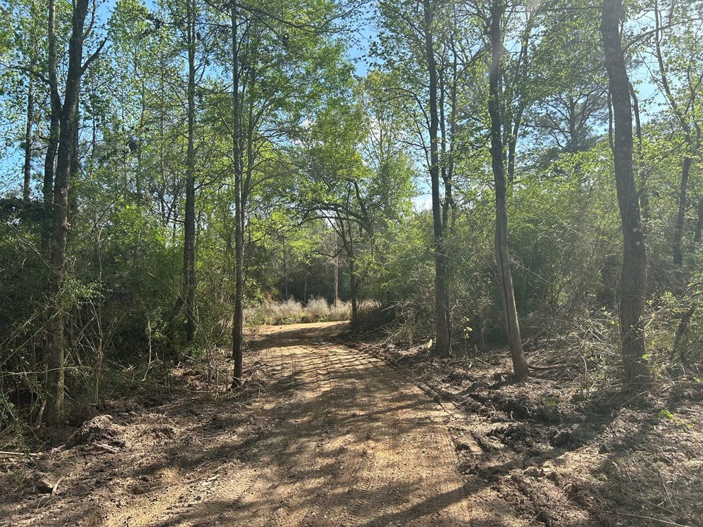 0 North Ranch Road Foxworth, MS 39483 - Photo 24 of 38 Photo 24