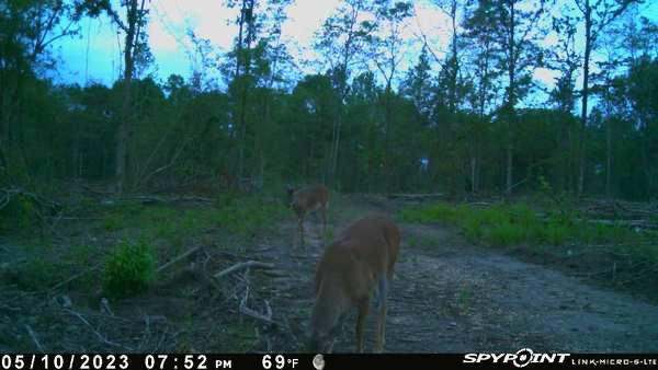 0 North Ranch Road Foxworth, MS 39483 - Photo 31 of 38 Photo 33