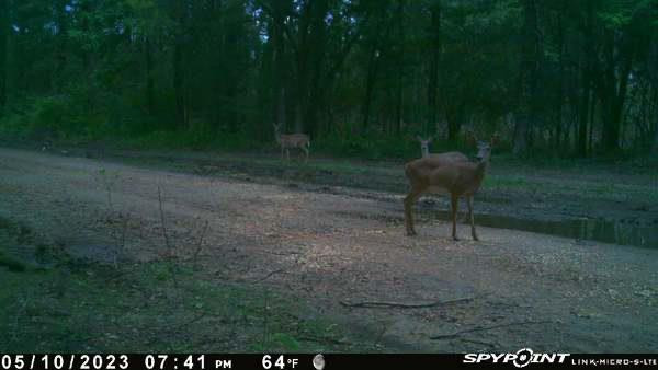 0 North Ranch Road Foxworth, MS 39483 - Photo 36 of 38 Photo 38