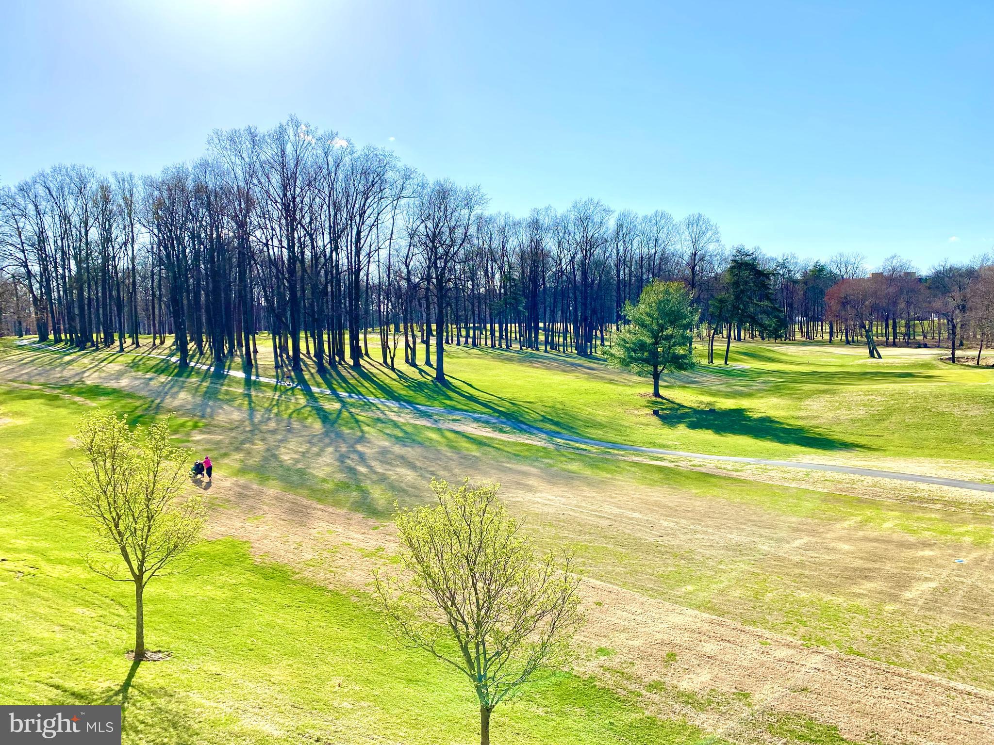 3005 South Leisure World Boulevard, Unit 209 Silver Spring, MD 20906 - Photo 11 of 28 Another Golf course view from the enclosed balcony