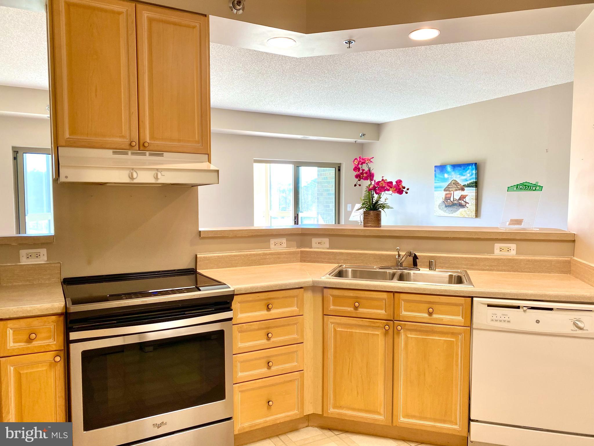 3005 South Leisure World Boulevard, Unit 209 Silver Spring, MD 20906 - Photo 12 of 28 Large Kitchen