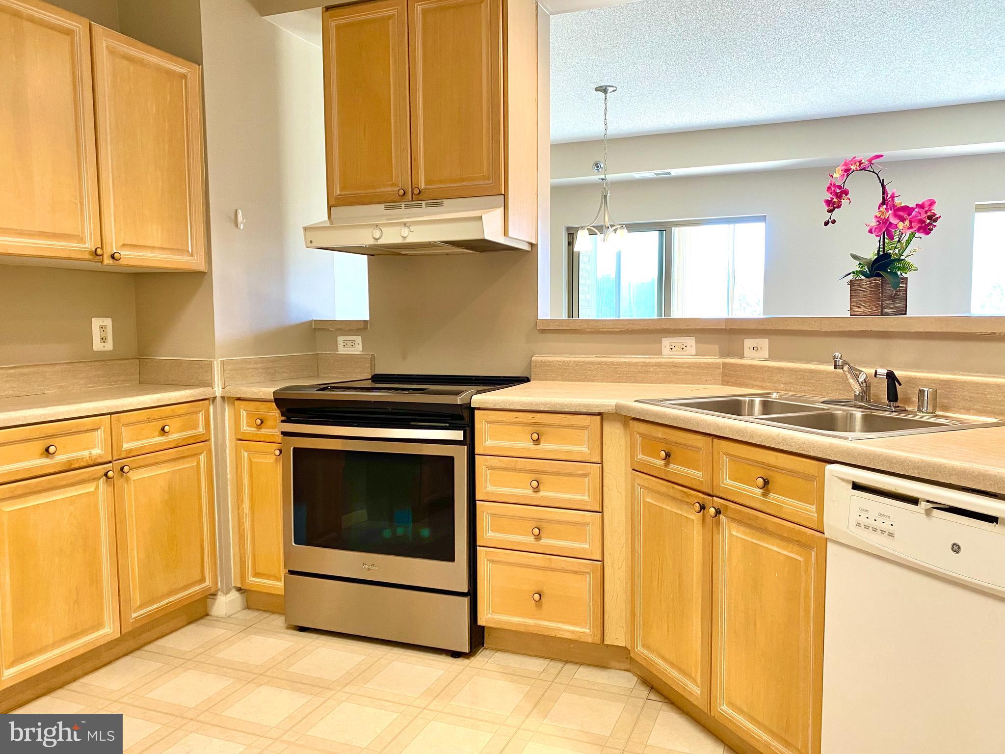 3005 South Leisure World Boulevard, Unit 209 Silver Spring, MD 20906 - Photo 14 of 28 Lots of cabinets in the Kitchen