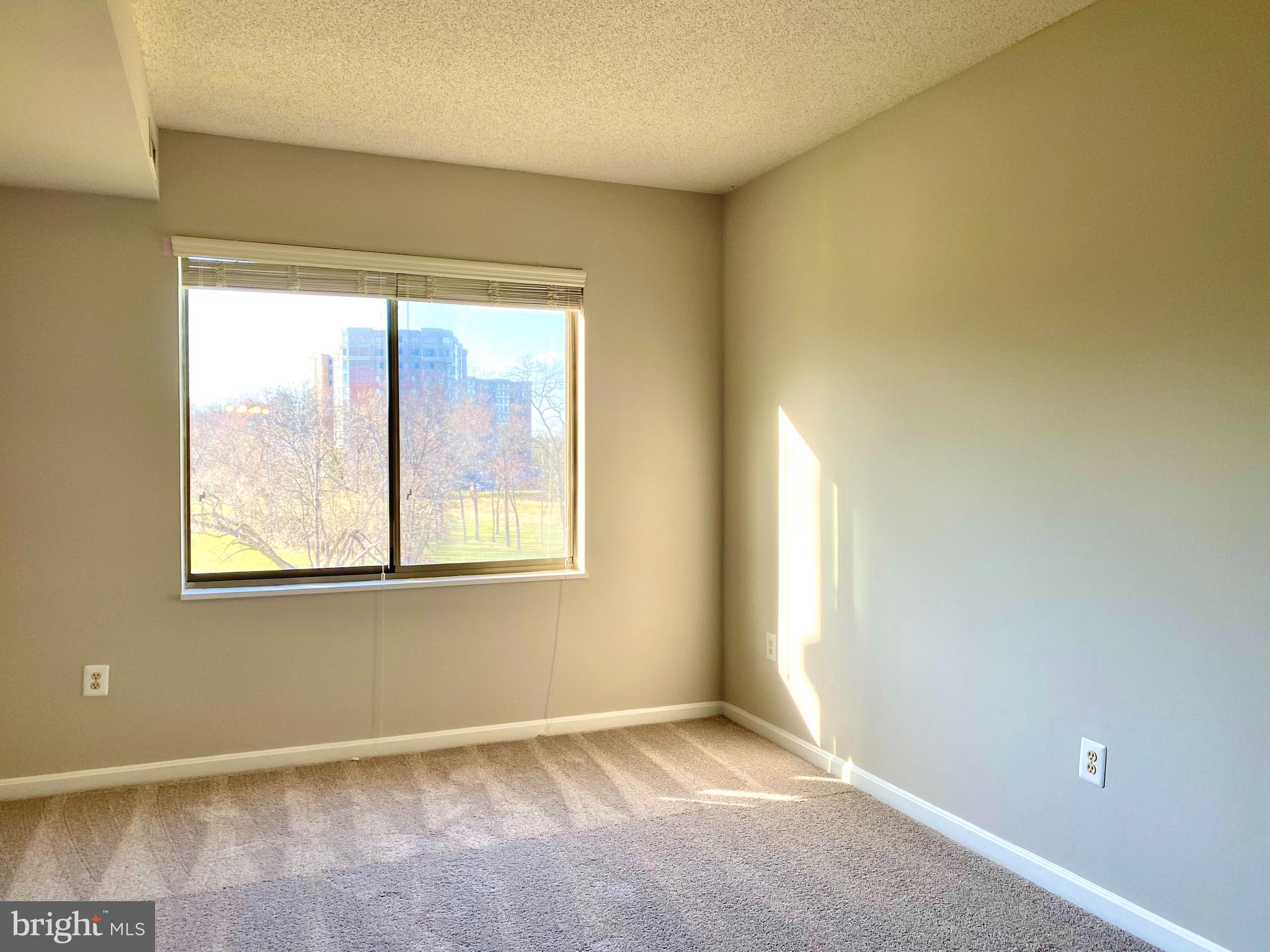3005 South Leisure World Boulevard, Unit 209 Silver Spring, MD 20906 - Photo 17 of 28 New carpet in the Primary bedroom