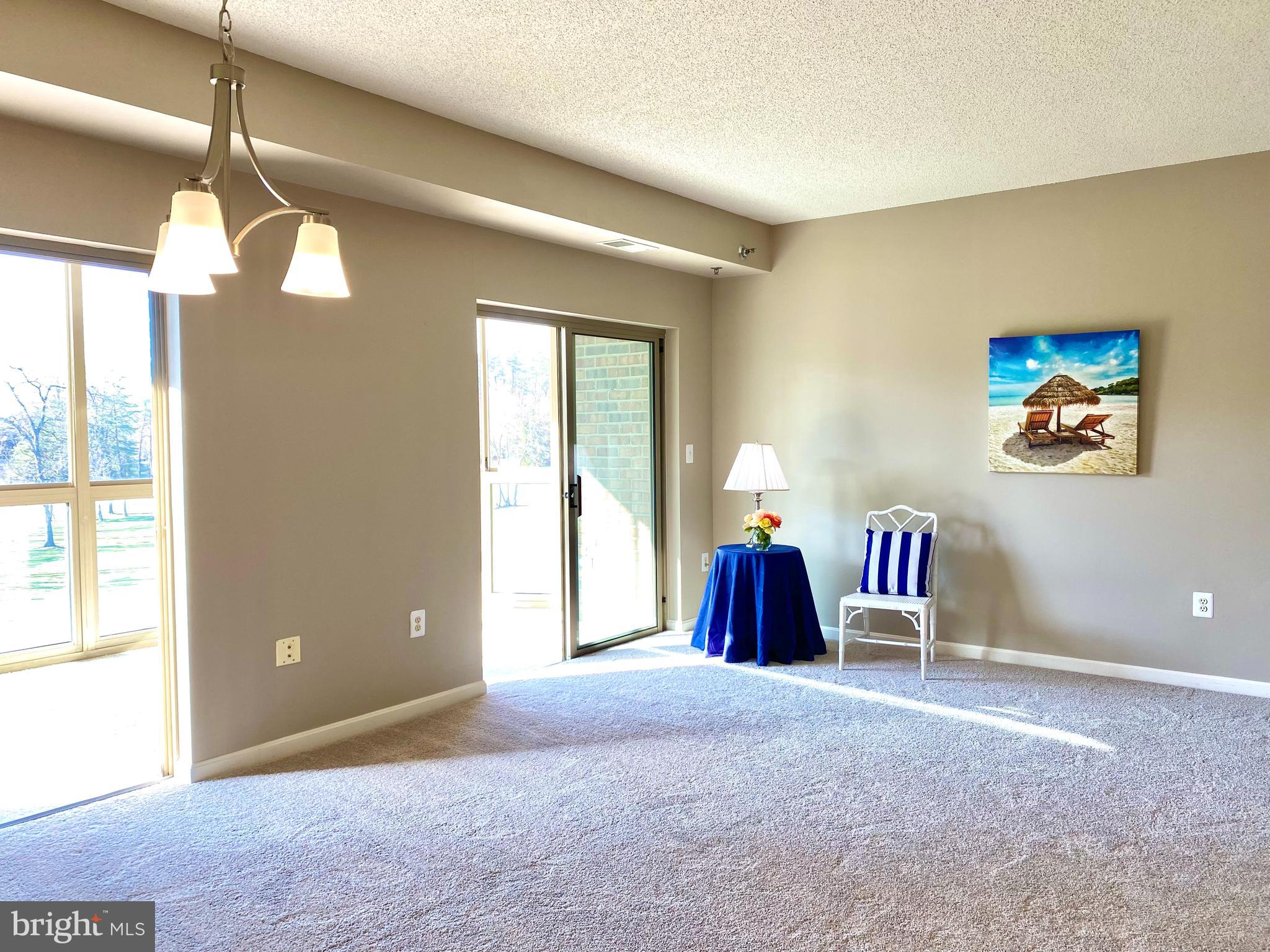 3005 South Leisure World Boulevard, Unit 209 Silver Spring, MD 20906 - Photo 4 of 28 New carpet in the condo