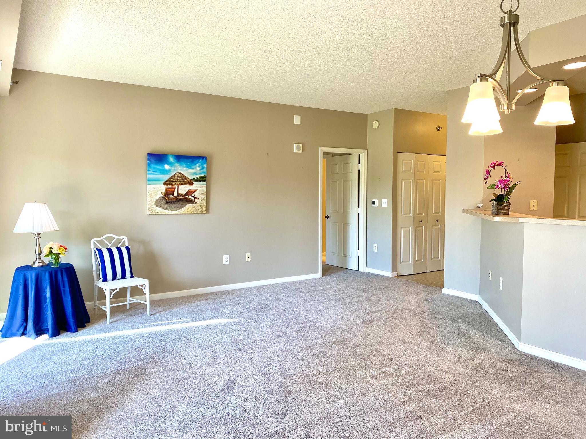 3005 South Leisure World Boulevard, Unit 209 Silver Spring, MD 20906 - Photo 5 of 28 Spacious living and dining room