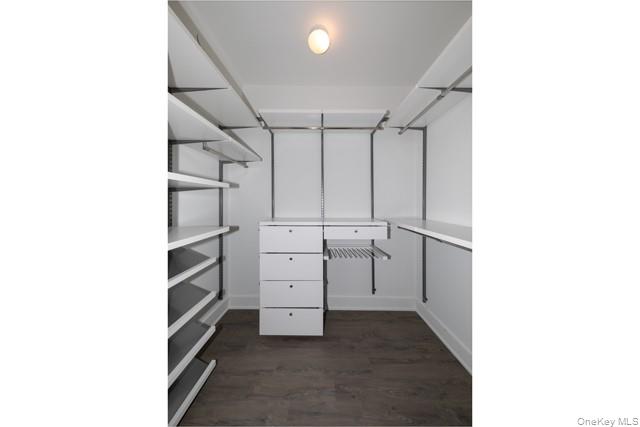 262 Indian Head Road, Unit 211 Kings Park, NY 11754 - Photo 7 of 8 a view of walk in closet with white walls