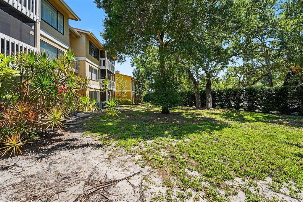 1550 South Belcher Road, Unit 115 Clearwater, FL 33764 - Photo 31 of 33