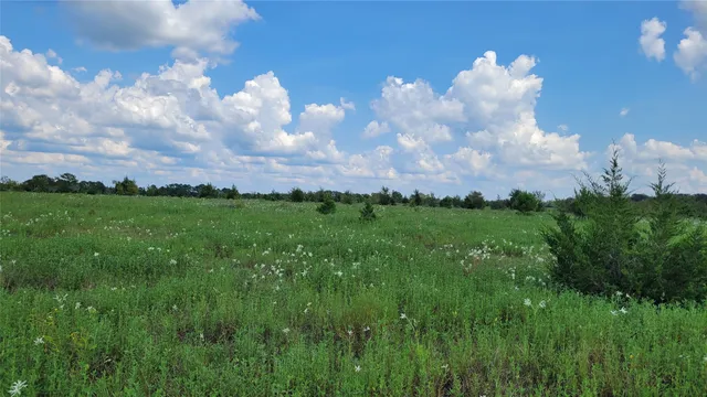 a view of a big yard with large trees