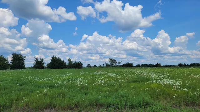 a view of a big yard