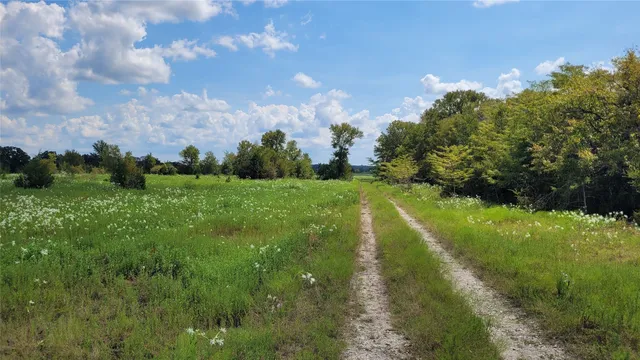 a view of a big yard with large trees