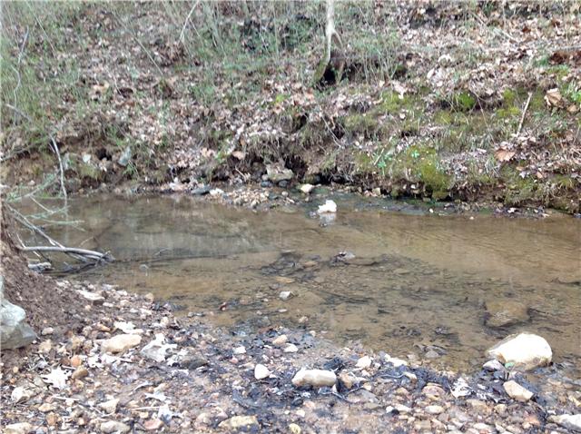 1196 Issac Clifton Road Chapmansboro, TN 37035 - Photo 18 of 20 Creek on property!