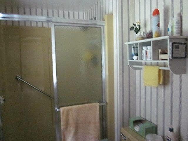 2037 Hillsdown Road Lake Summerset, IL 61019 - Photo 11 of 24 a bathroom with a shower