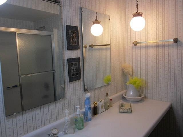 2037 Hillsdown Road Lake Summerset, IL 61019 - Photo 12 of 24 a bathroom with a sink a toilet and shower