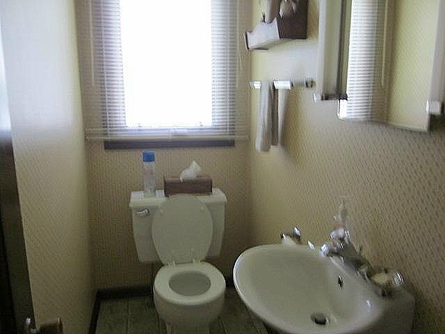 2037 Hillsdown Road Lake Summerset, IL 61019 - Photo 13 of 24 a bathroom with a toilet sink and mirror