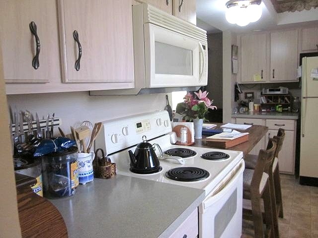 2037 Hillsdown Road Lake Summerset, IL 61019 - Photo 2 of 24 a kitchen with appliances cabinets and a counter top space
