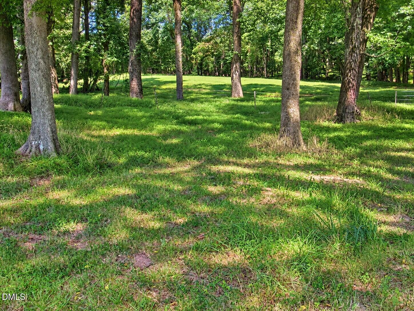 1290 Spring Valley Road Henderson, NC 27537 - Photo 56 of 71 Wooded areas