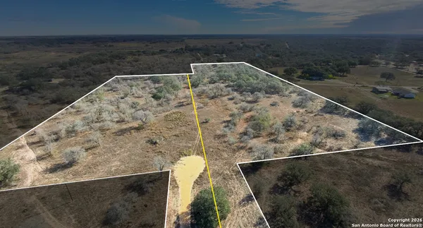 a view of a dry yard with trees in the background