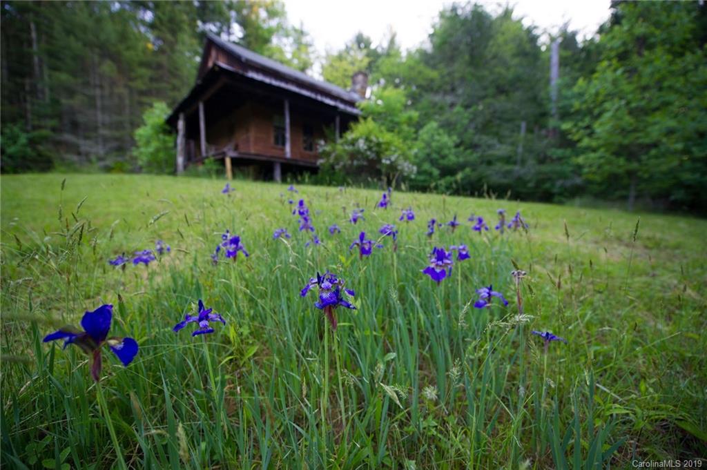 126-acres Bald Rock Road Balsam Grove, NC 28708 - Photo 2 of 47 Gallery Image 2