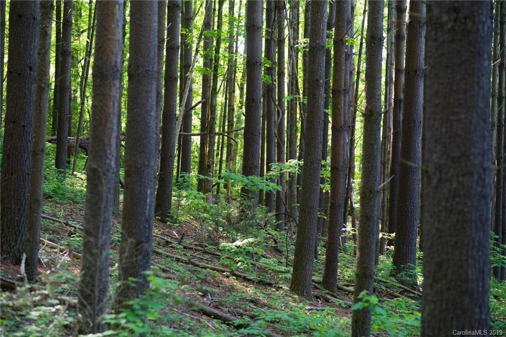 126-acres Bald Rock Road Balsam Grove, NC 28708 - Photo 14 of 47 Gallery Image 14
