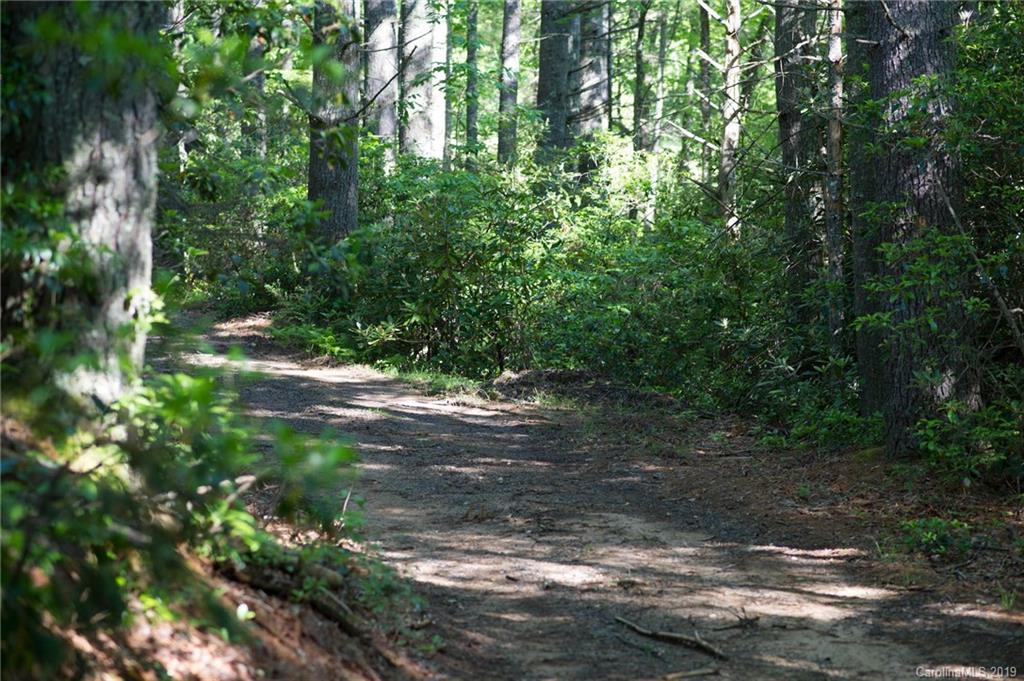 126-acres Bald Rock Road Balsam Grove, NC 28708 - Photo 16 of 47 Gallery Image 16
