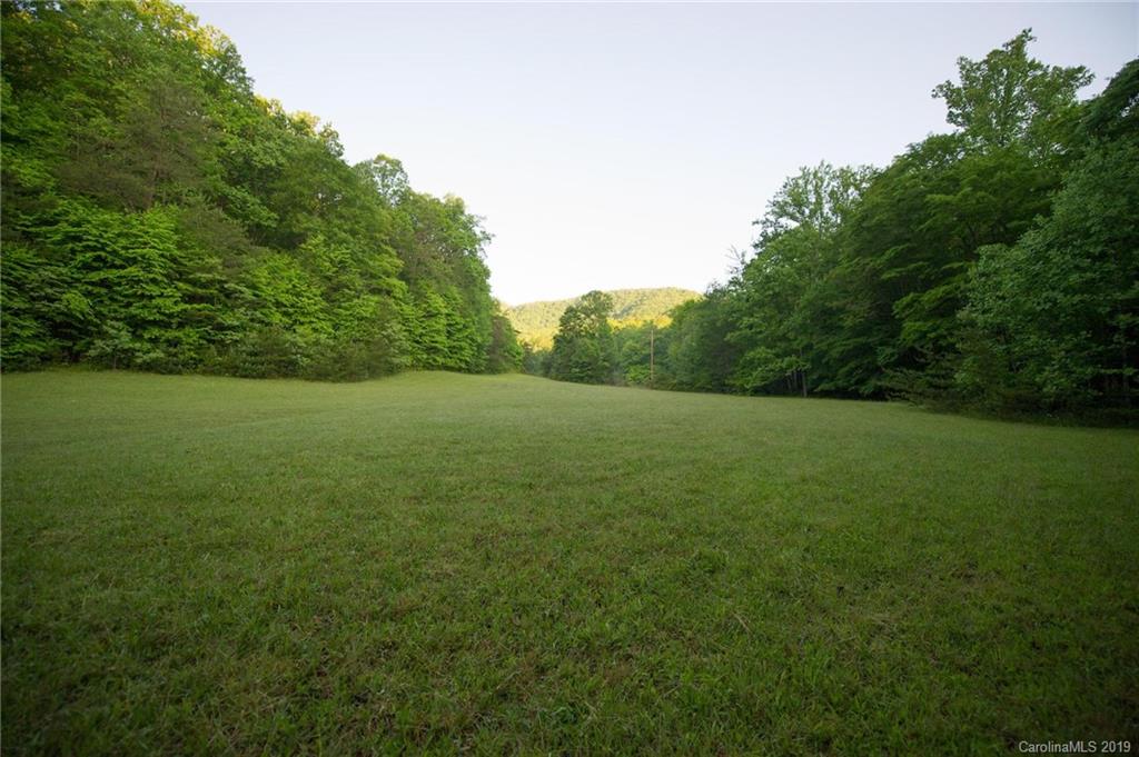 126-acres Bald Rock Road Balsam Grove, NC 28708 - Photo 19 of 47 Gallery Image 19