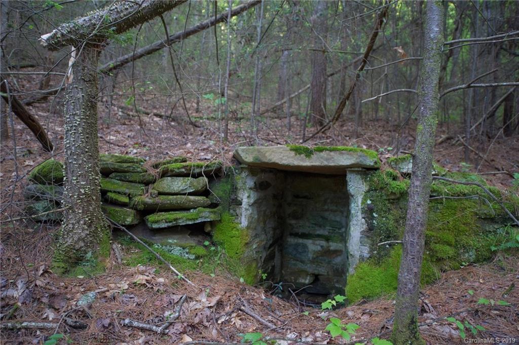 126-acres Bald Rock Road Balsam Grove, NC 28708 - Photo 24 of 47 Gallery Image 24