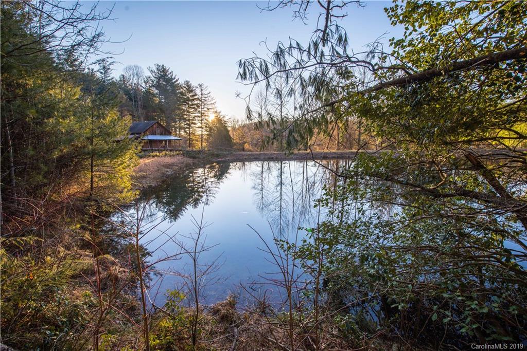 126-acres Bald Rock Road Balsam Grove, NC 28708 - Photo 27 of 47 Gallery Image 27
